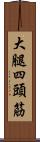大腿四頭筋 Scroll