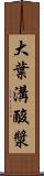 大葉溝酸漿 Scroll