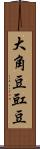 大角豆 Scroll