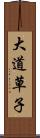 大道草子 Scroll
