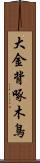 大金背啄木鳥 Scroll