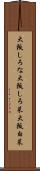 大阪しろな Scroll