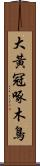 大黃冠啄木鳥 Scroll