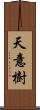 天意樹 Scroll