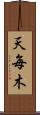 天毎木 Scroll