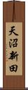 天沼新田 Scroll