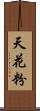 天花粉 Scroll