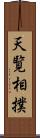 天覧相撲 Scroll