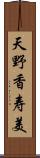 天野香寿美 Scroll