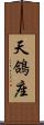 天鴿座 Scroll