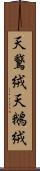 天鵞絨 Scroll