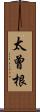 太曾根 Scroll