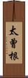 太曾根 Scroll