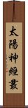 太陽神經叢 Scroll