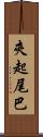 夾起尾巴 Scroll