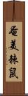 奄美棘鼠 Scroll