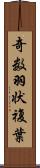 奇数羽状複葉 Scroll
