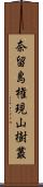 奈留島権現山樹叢 Scroll