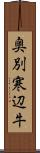 奥別寒辺牛 Scroll