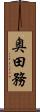 奥田務 Scroll