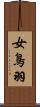 女鳥羽 Scroll