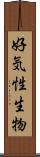 好気性生物 Scroll