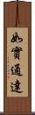 如實通達 Scroll
