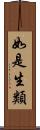 如是生類 Scroll