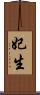 妃生 Scroll