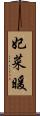 妃菜暖 Scroll