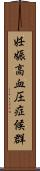妊娠高血圧症候群 Scroll