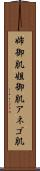 姉御肌 Scroll