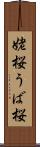 姥桜 Scroll