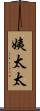 姨太太 Scroll