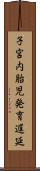 子宮内胎児発育遅延 Scroll