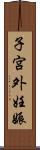 子宮外妊娠 Scroll