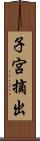 子宮摘出 Scroll