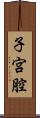 子宮腔 Scroll