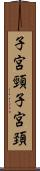 子宮頸 Scroll