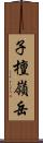 子檀嶺岳 Scroll