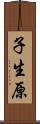 子生原 Scroll