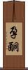 孕酮 Scroll