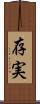 存実 Scroll