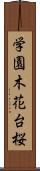 学園木花台桜 Scroll