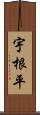 宇根平 Scroll