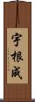 宇根成 Scroll