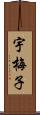 宇梅子 Scroll