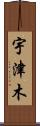 宇津木 Scroll