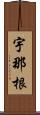 宇那根 Scroll