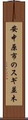 安中原市のスギ並木 Scroll